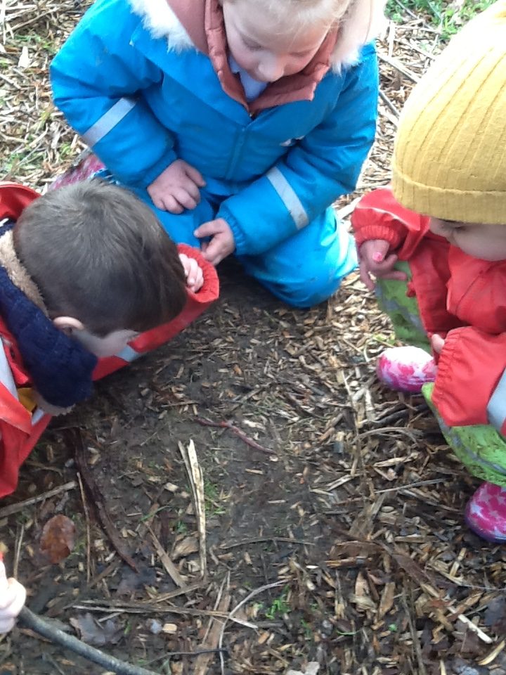 forest-school-charter-primary-school